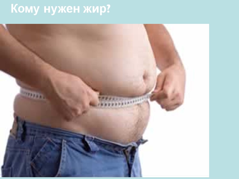 Кому нужен жир? Кому нужен жир?